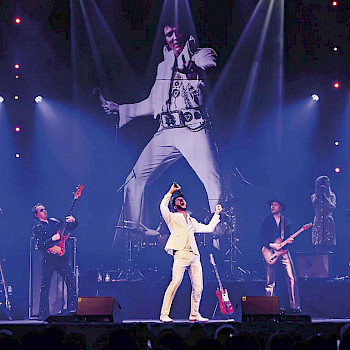 Bouke Rocks Elvis — muziek in Terneuzen