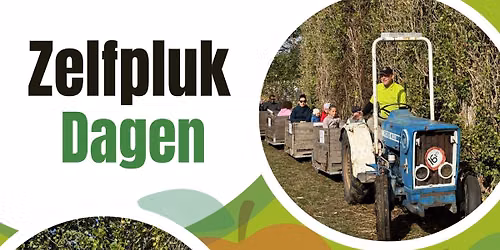 Zelfplukdagen appels en peren — natuur in Terneuzen